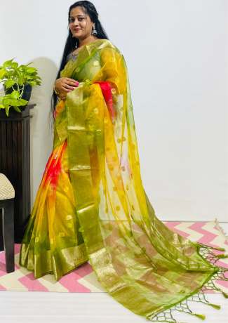 Adoring Pure Zari Work Multi Color Pure Organza Saree  Sarees