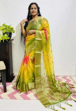 Adoring Pure Zari Work Multi Color Pure Organza Saree  Organza Saree