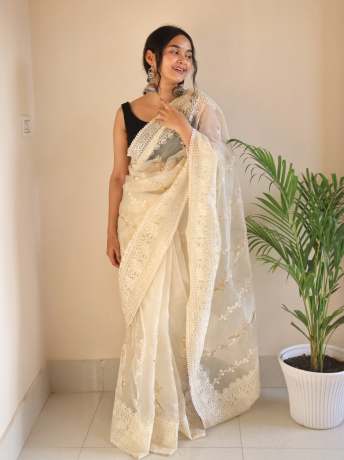 Chikankari Worked Chiku Colored Pure Organza Saree  Organza Saree