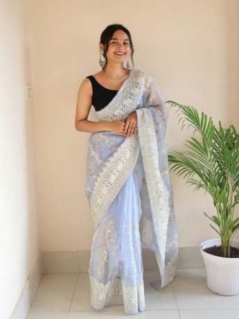Chikankari Worked Light Sky Colored Pure Organza Saree  Organza Saree