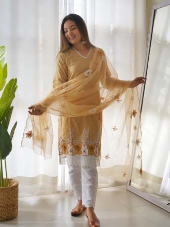 Chiku Color Cotton Chikankari Kurtis Pant  Kurtis