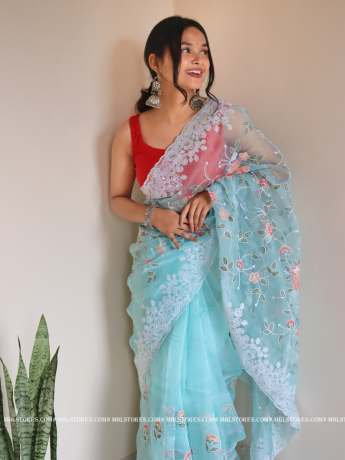 Floral Chikankari Worked Light Blue pure organza saree  Organza Saree