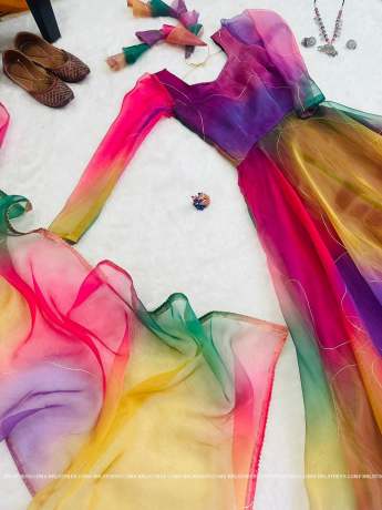 Imperial Dark Rainbow Pure Organza Party Wear Gown  Gown