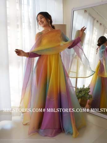 Rabba Dark Multi Color Pure Organza Gown  Gown