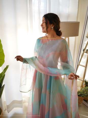 Rabba Multi Color Pure Organza Gown  Gown