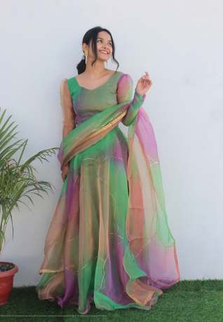  Rabba Rainbow Green Print Pure Organza Anarkali gown Ethnic Wear 