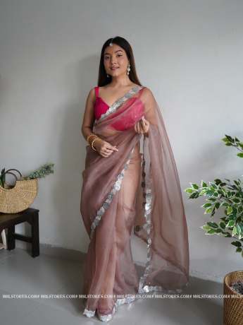 plain Brown sequence worked pure organza saree  Sarees